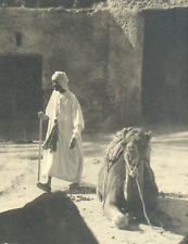 Algerie tolga photographie d'occasion  Le Luc