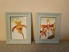 Bilderrahmen shabby chic gebraucht kaufen Bilderrahmen shabby chic gebraucht kaufen  Erding