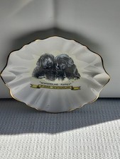 Newfoundland puppies vintage for sale  Willimantic