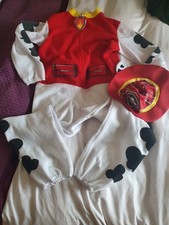 Rubies paw patrol for sale  HERTFORD