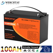 12v 100ah lifepo4 gebraucht kaufen  Deutschland