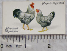 1931 john player for sale  STOKE-ON-TRENT
