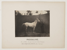 Adrien tournachon nadar d'occasion  Pagny-sur-Moselle