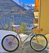 Merlin titanium usato  Cogne