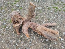 Skulptur wurzel stamm gebraucht kaufen  Kempen