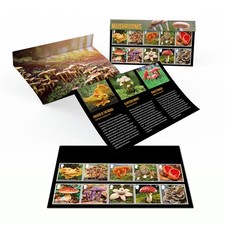 Mushrooms presentation pack for sale  EDINBURGH