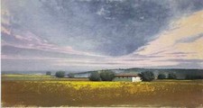Paesaggio agostino cancogni usato  Pescara