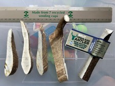 Split antler dog for sale  NEWPORT