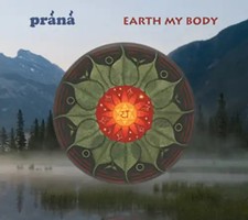 Prana earth my gebraucht kaufen  Berlin