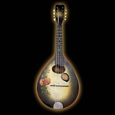 Regal stencil mandolin for sale  Wichita