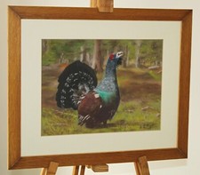 Barbara taylor ornithological for sale  HARROGATE