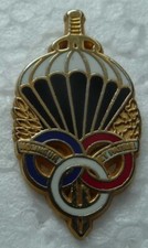 Pin militaire preparation d'occasion  Changé