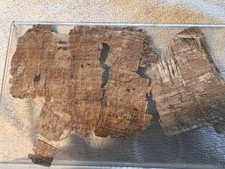 Papyrus fragments egyptian for sale  Pittsburgh