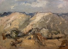 Sergio scatizzi paesaggio usato  Firenze
