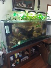 180 gallon acrylic for sale  Jefferson City