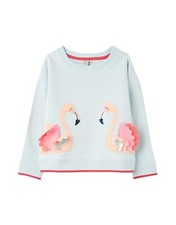Joules jumper sweatshirt for sale  SEVENOAKS