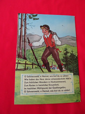 Alte schwarzwald zieharmonika gebraucht kaufen  Deutschland