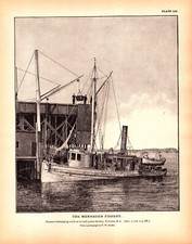 Menhaden fishery steamer for sale  Navarre