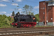 Riginaldia museum kranichstein gebraucht kaufen  Rimbach