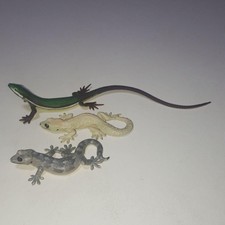 Figura natura technicolor usato  Spedire a Italy