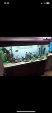 aquarium stands for sale aquarium stands for sale  BATHGATE