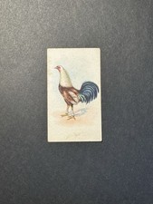 Fighting cocks cigarette for sale  NORTHAMPTON