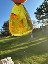 Two amber stone for sale  Gurnee