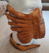 Halloween alien fecehugger gebraucht kaufen  Gummersbach