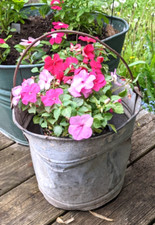 Vintage galvanized pail for sale  Fillmore
