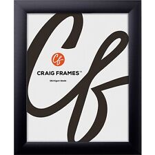 Craig frames contemporary for sale  Ithaca