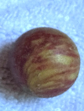 Antique german onion for sale  Gresham