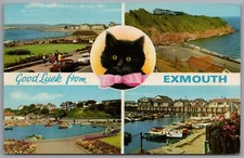 Exmouth devon multiview for sale  REDCAR