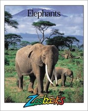 Elephants for sale  North Smithfield