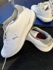 Puma phantom cat for sale  DENBIGH