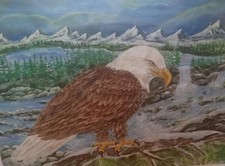 Eagle painting for sale  Alturas