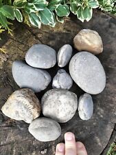 Small medium split for sale  REDCAR