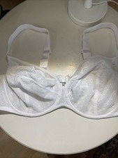 Rosa faia neu gebraucht kaufen  Lügde