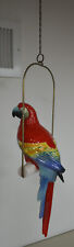 Parrot tropical bird for sale  Dubuque