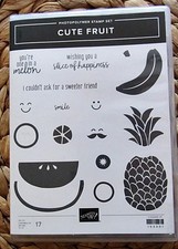 Stampin photopolymerstempelset gebraucht kaufen  Weyhe