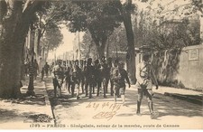 Var frejus senegalais d'occasion  France