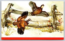 Animals pheasants flying for sale  Newton