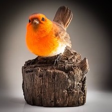 Vivid arts robin for sale  UK