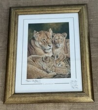 Contentment stephen gayford for sale  WORCESTER