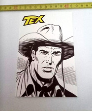 Tex willer danubio usato  Italia