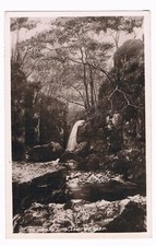 Campsie glen postcard for sale  YEOVIL