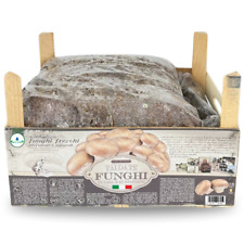 Kit coltivazione funghi usato  Corato