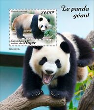 2024 niger giant d'occasion  Brunoy