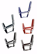 Premium striped draft for sale  Gilberts