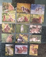 Tierpostkarten kaninchen gebraucht kaufen  Krefeld