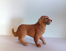 Wild safari golden for sale  Lockport